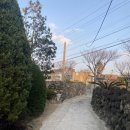 홀리호랑 | [제주도 서쪽 감성숙소 홀리호랑1 내돈내산 후기]