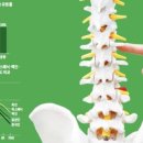 중화부부한의원 이미지