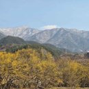 구례 버스킹 공연 이미지