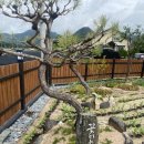 꽃피는 유포리 이미지