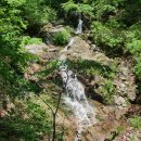 홍천군청(본관) | 팔만대장경 숨결담은 금학산 용수사(龍遂寺)를 찾다