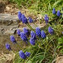 삼명중기 이미지