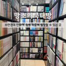 강아지고양이와함께원주점 | [원주] 만화책 최다 보유! 고양이와 닌텐도까지 있는 무실동 만화카페 '망스의북다방'