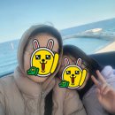 20.한내다리(행정) | 속초아이 대관람차 탑승 후기: 꼭대기에서 느낀 아찔한 공포! 이용 요금 및 속초 바다여행기