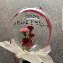 비비소프트웨어 이미지