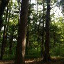 영장1리 이미지