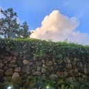 NR-31[새마을로]-하-575 | 제주여행