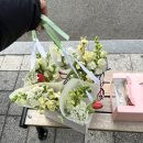 사하구-25 | 부산 사하구 꽃집 하단 오니플레르, 상견례 첫인사 꽃다발 꽃바구니 내돈내산 구매후기