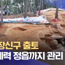 금제로L Daum카페