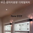 부산 강아지분양 디테일퍼피 이미지