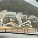 충무곰장어 - 포항시 남구 중섬로 23 | 충무곰장어