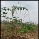 해바라기어린이집 이미지