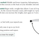 코끼리정형외과의원 이미지