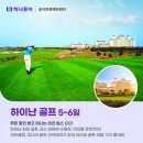디에이치골프
