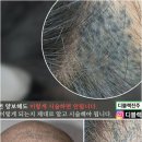 디블랙아카데미 네이버블로그
