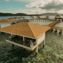 (주)제주프리투어 이미지