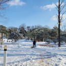 여주 마조렐글램핑리조트 이미지