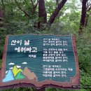 동박새우는집 이미지