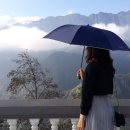 제갈량처럼 유비의 삼고초려의 제안을 받으려면... 이미지