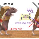 바오메디칼 이미지