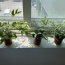 아라자동차공업사 이미지