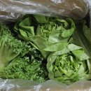 낙천농장 이미지