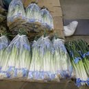 신풍상회 이미지