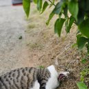 CU 덕적도점 이미지