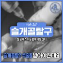 잠실베스트동물병원 수술재활센터 이미지