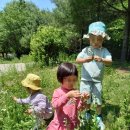 작은숲  어린이집 이미지