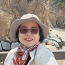 팔이 부러져서 기브스하고 같이간 장고항 실치 축제 최경자 아우하고 잘다녀왔어요 먼거리운전 ㅡㅡ 이미지