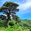 신풍령약수터 이미지