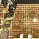 특허떡볶이 화곡싸롱 이미지