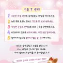 아리스타동물의료센터 이미지