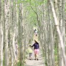 강진 바스락길 이미지