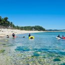 포도나무민박 이미지