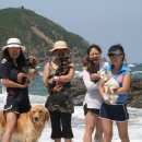 나곡해수욕장 이미지