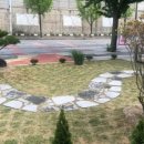 증약초교 대정분교 이미지