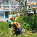 사하뷰웰 이미지