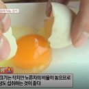 굿모닝베이커리 Daum카페