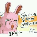 와이짐휘트니스 이미지