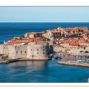 주식회사 녹십자엠에스 이미지