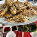 대하카센타 이미지