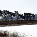 소나무풍경 - 유성구 엑스포로 488 | 소나무풍경