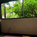 요가1 | 래디언틀리 어라이브 요가 수업별 후기 | 1주일 수강 솔직 정리