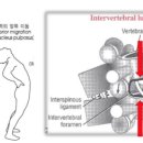 가이드사이언스 이미지