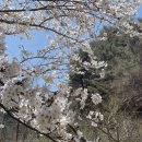 다덕약수관광지 이미지