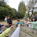 도토리숲속학교 | 우리들 자연학교 10월 2주 차 일요일 주말 숲학교 참새샘반 수업 후기