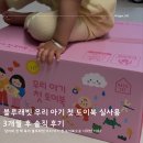 담이의외출 | 담이의 첫 책 육아 블루래빗 우리 아기 첫 토이북으로...우리 아기 첫 토이북 실사용 3개월 후 솔직 후기