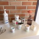 가평을 울려라 | 김승휘일기 / 애견펜션 / 애견동반식당 밥앤독 / 가평 벨르앙쥬 / 금남멧돼지 / 반얀트리 / 반얀트리...